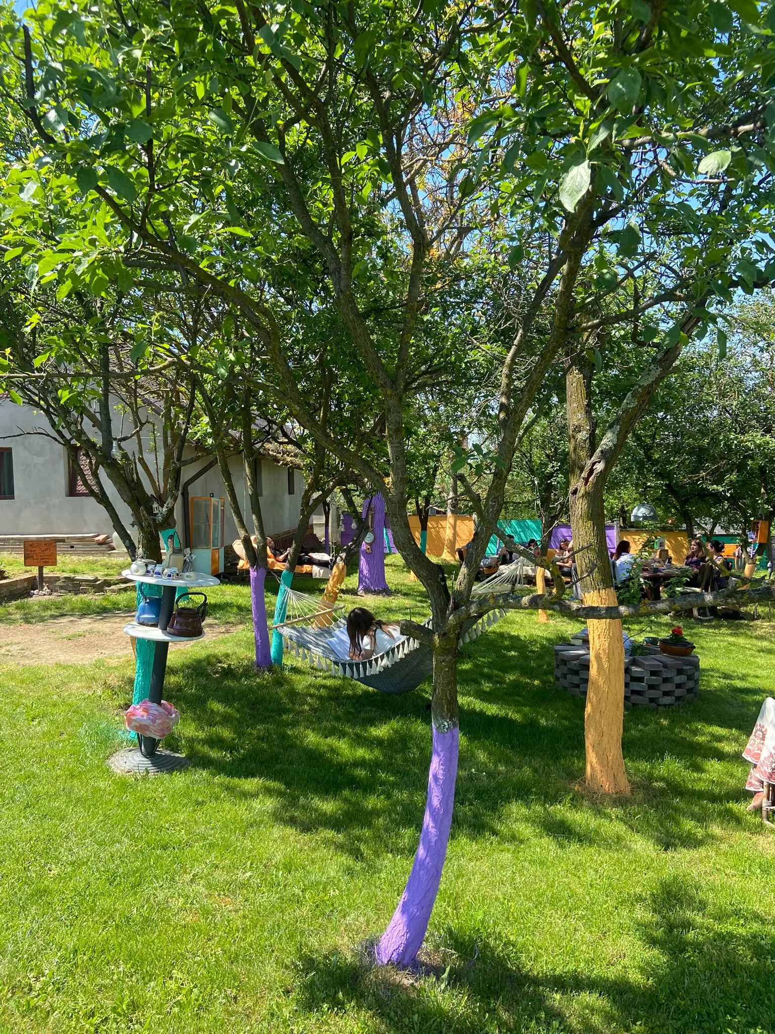 Yoga in natura Gradina Lotus Mellow 8